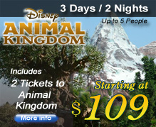 Disney World Vacation Packages